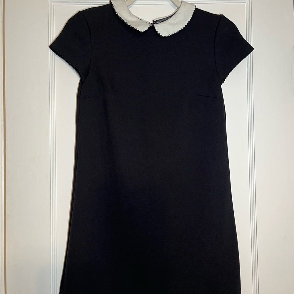 Cooperative Collar Dress